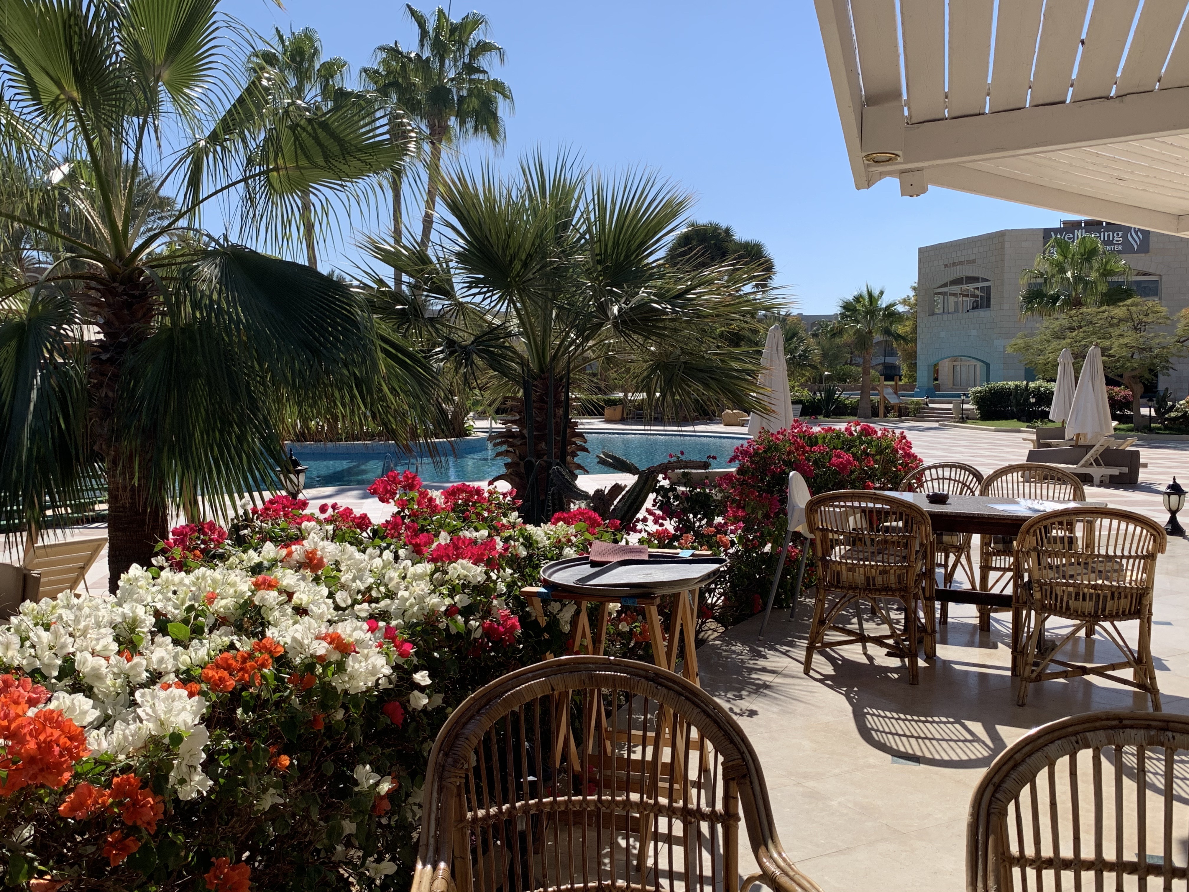 Фантастический Марс: Рай для дайверов (Hilton 5* 4 н. + Brayka Bay 5* 3 н.)
