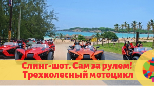 Экскурсии